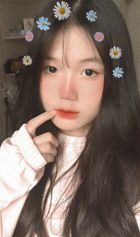 綠皮書在線觀看免費(fèi)高清