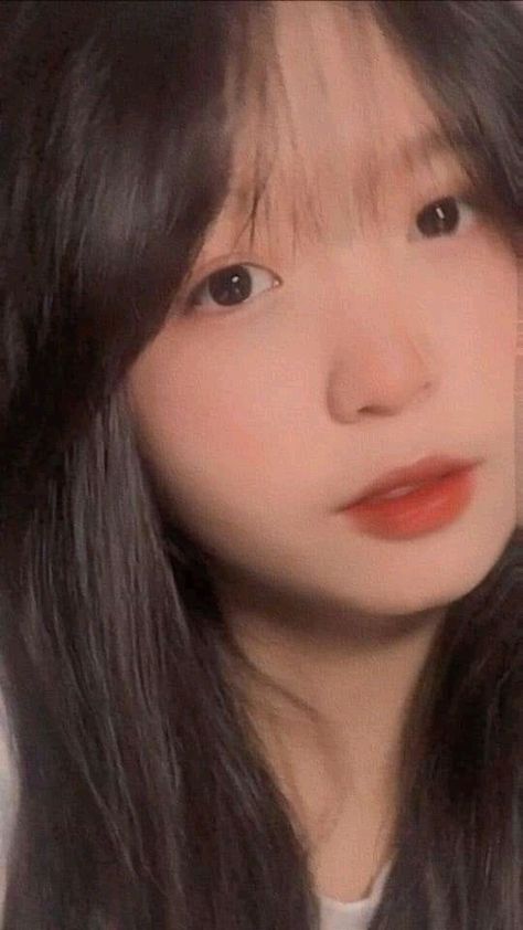雪中悍刀行第二部全集
