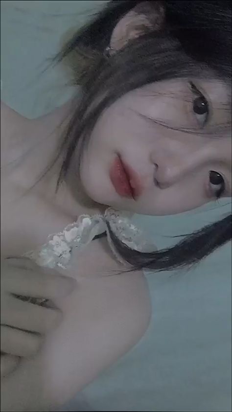 間諜過家家第二季免費觀看完整版動漫