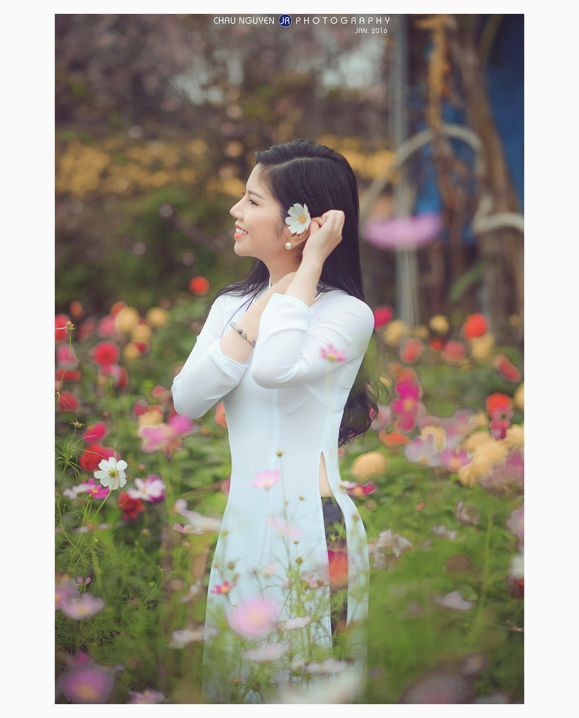 啄木鳥(niǎo)風(fēng)流女管家
