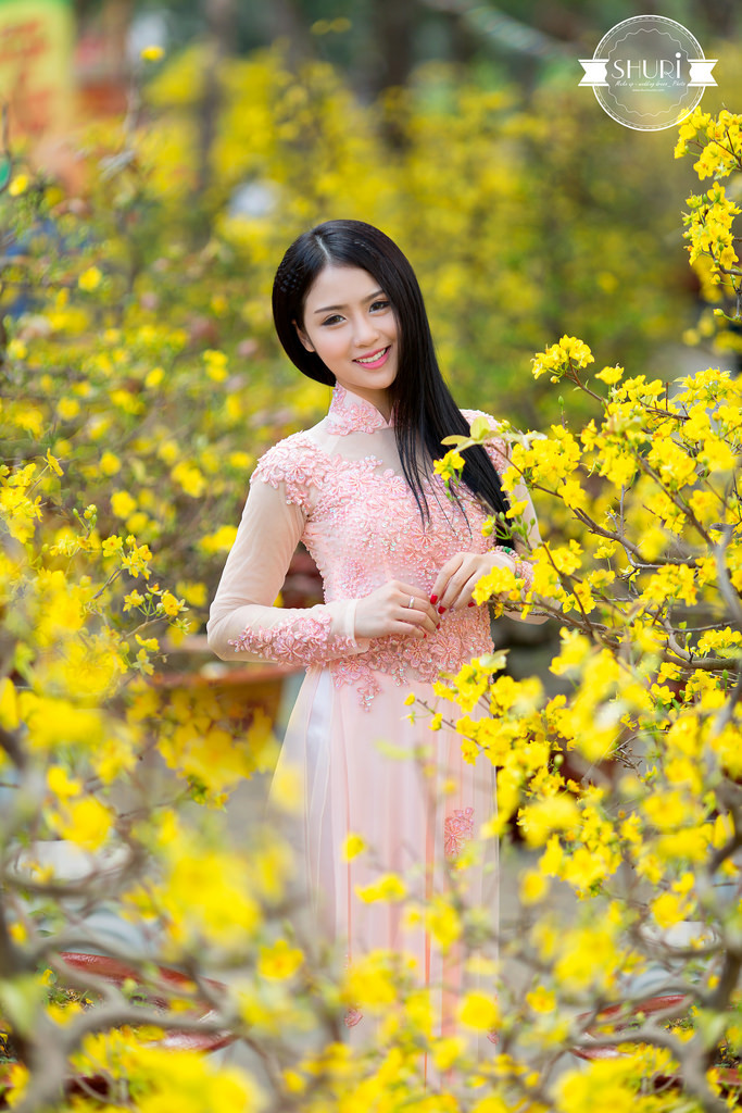 花房姑娘免費