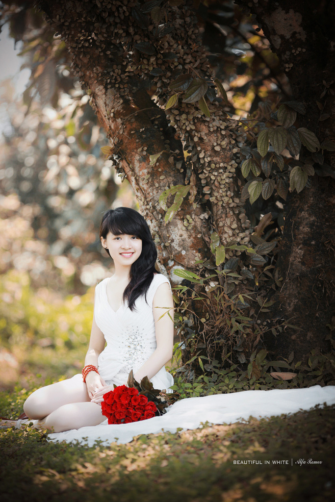 花房姑娘免費(fèi)版大全多少集花季