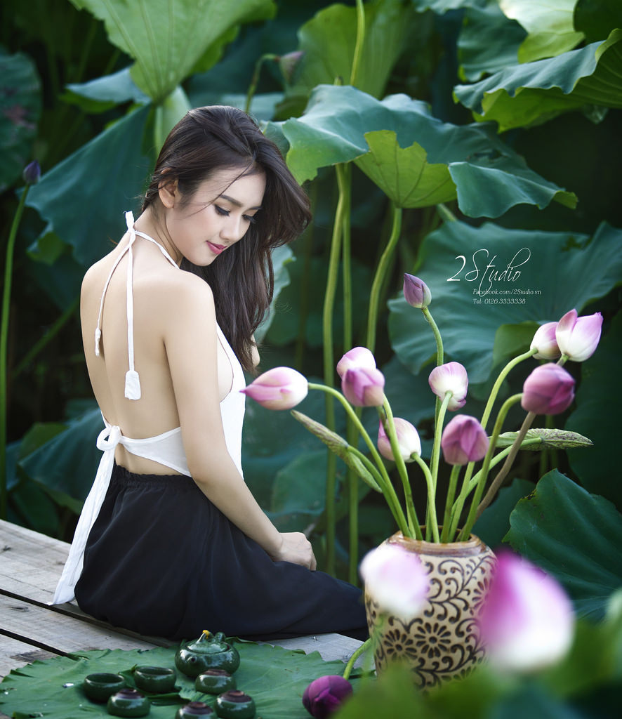 蒲公英家族