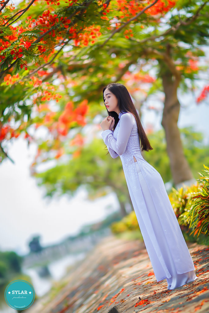 韓劇2個(gè)小時(shí)大集合