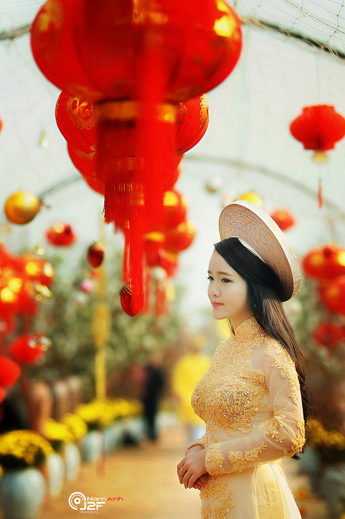 韓國(guó)禁欲貪婪之島中文版